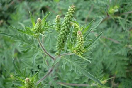 16414_1531744802_19_16414