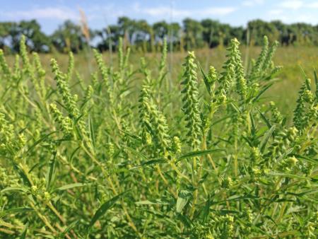 16895_1531745194_171_16895